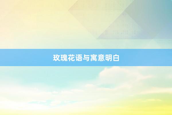 玫瑰花语与寓意明白