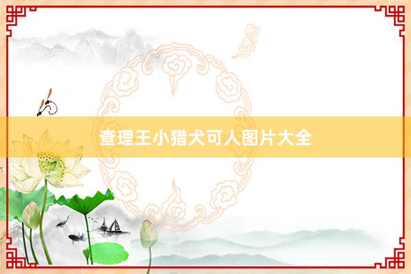 查理王小猎犬可人图片大全