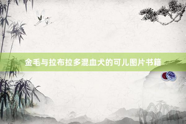 金毛与拉布拉多混血犬的可儿图片书籍