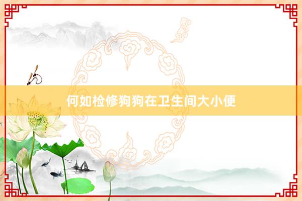 何如检修狗狗在卫生间大小便