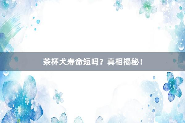 茶杯犬寿命短吗？真相揭秘！